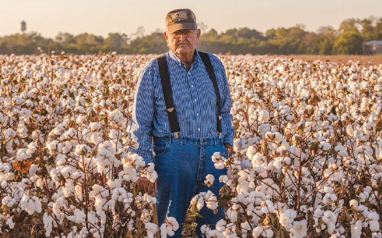 Textiles as Tools for Environmental Awareness: A Deeper Connection to&nbsp;Clothing